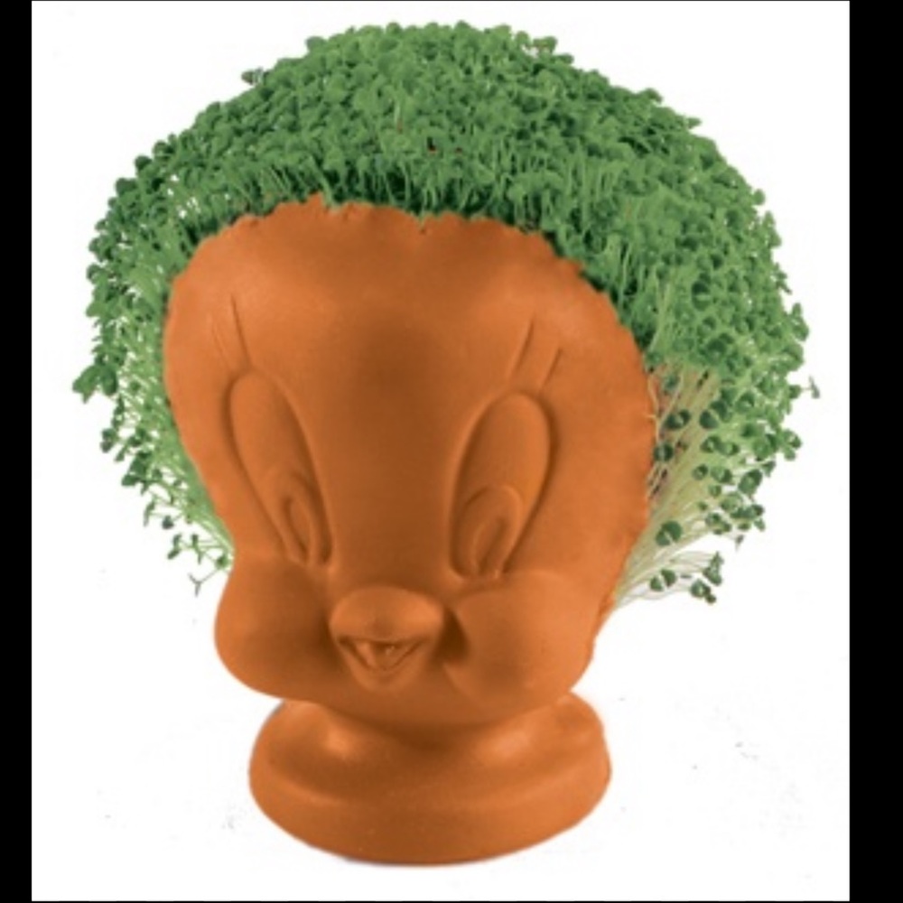 Chia Pet Tweety Collection Decorative Planter